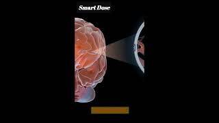 Information From Neurons to Nebulae: Exploring Quantum Physics and the Cosmic Connections News