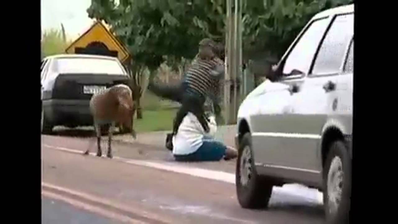 GOAT HEAD BUTTING EVERYONE YouTube