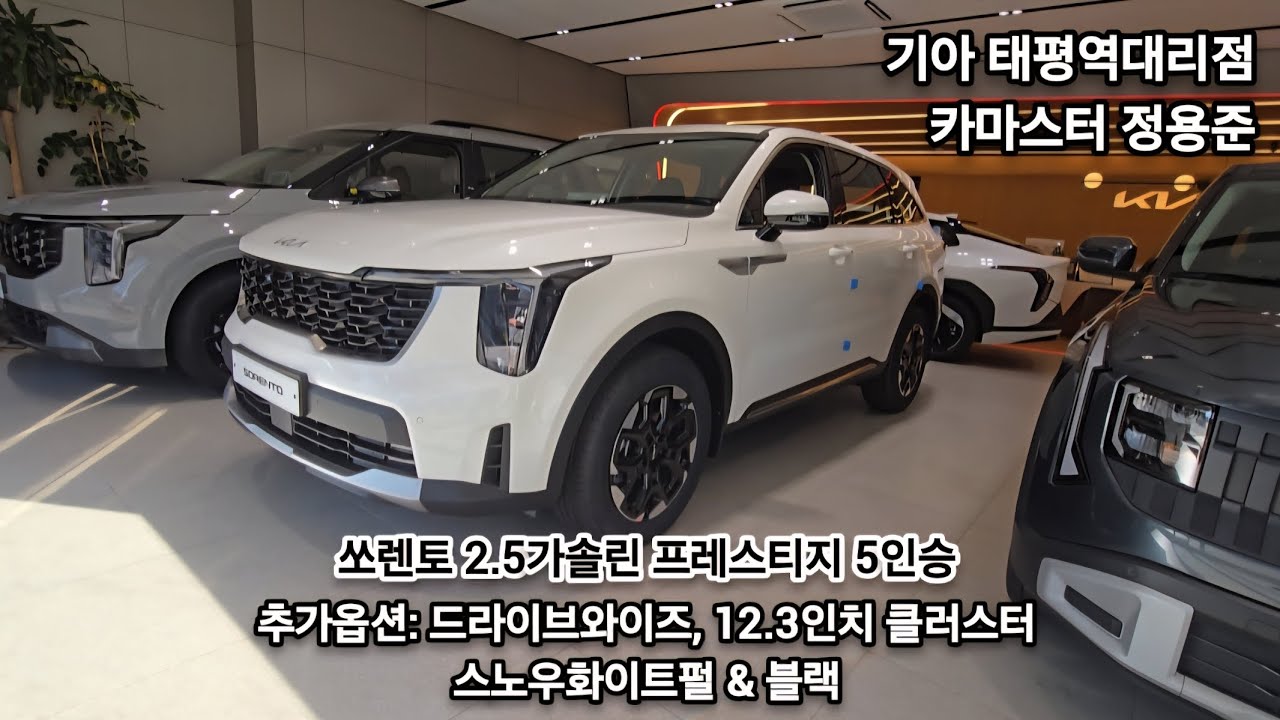 쏘렌토 2.5가솔린 프레스티지 5인승 스노우화이트펄 & 블랙시트