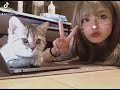 【#shorts】猫と動画を撮ってたら音楽とシンクロした！♡
