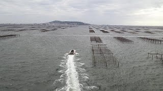 À Sète, Des Travaux Dampleur Retardent Les Phénomènes Naturels