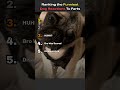 Ranking The Funnies Dog Reactions To Farts