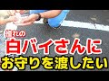 白バイ隊員に会いに行ったら奇跡が起きた…愛溢れる警察官の感動の神対応‼️その壱