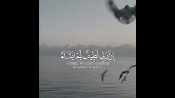 آيات تريح القلب والنفس 🌹 الشيخ ياسر الدوسري حالات واتس اب دينية قصيرة مؤثرة قرآن كريم تلاوة خاشعة