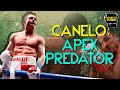 Canelo: Apex Predator | Canelo Alvarez versus Callum Smith | Boxing Technique Breakdown | Film Study