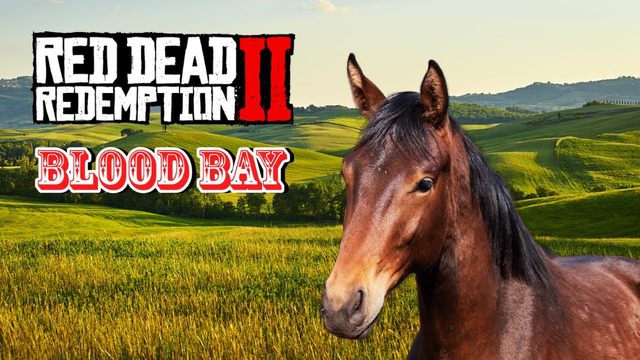 Horse Hunting Blood Bay Thoroughbred (Best Horses in Red Dead