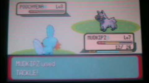 Mudkip Only Run - Route 102 & the annoying May