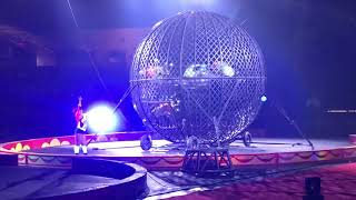The Shrine Circus - Fort Worth Convention Center - Motorcycle Act (Finale)