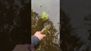 #fishing #hobby #pasja #fishing #nature #ryby