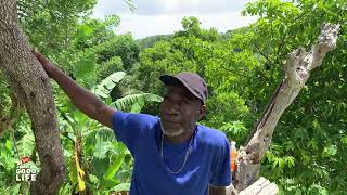 NEW LIFE IN PORTLAND | EP820 | JAMAICA GOOD LIFE 🇯🇲