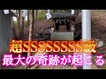 ⚠️今すぐ見れた人に限り最大の幸福が訪れます。残念ながら開運しない人には表示すらされません。かなり効きますので変わりたくない人は見ないでください。自己責任でお願いします。嬉しい事が起こる強波動。
