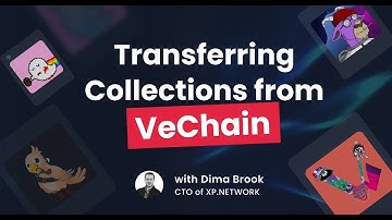 XP Shorts – Bridging NFT collections from VeChain with CTO Dima Brook