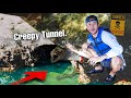 FISH FOUND In HIDDEN TUNNEL... (What's Inside?)
