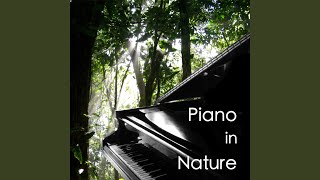 Blind Man's Bluff - Kinderszenen, R. Schumann