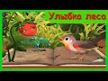 УЛЫБКА ЛЕСА 🍓 Сказка Притча доброты от Мехди Эбрагими Вафа