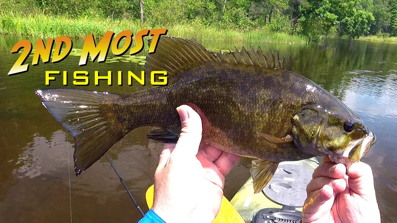 Kayak Fishing for Summer Smallmouth Bass on the Namekagon River YouTube