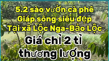 Vườn cafe đẹp+đất đỏ bazan💢giáp sông siêu đẹp ‼️thuộc xã Lộc Nga-Bảo Lộc.💢Giá chào bán 2 tỉ tl.