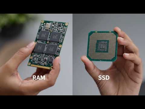 Hardware vs Software: What's the Difference? 💻⚡ #Shorts #TechTips #ComputerBasics