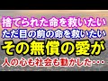 【感動する話】捨てられた命を救いたいただ目の前の命を救いたいその無償の愛が人の心も社会も動かした・・・