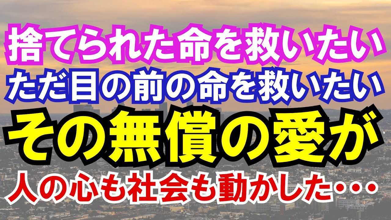 【感動する話】捨てられた命を救いたいただ目の前の命を救いたいその無償の愛が人の心も社会も動かした・・・