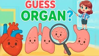 Quiz Time Guess The Body Organs For Kids Heart, Brain, Liver & More Happy Smart Tots