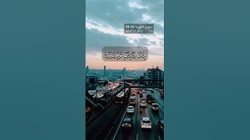 سورة التوبة الاية 55-58