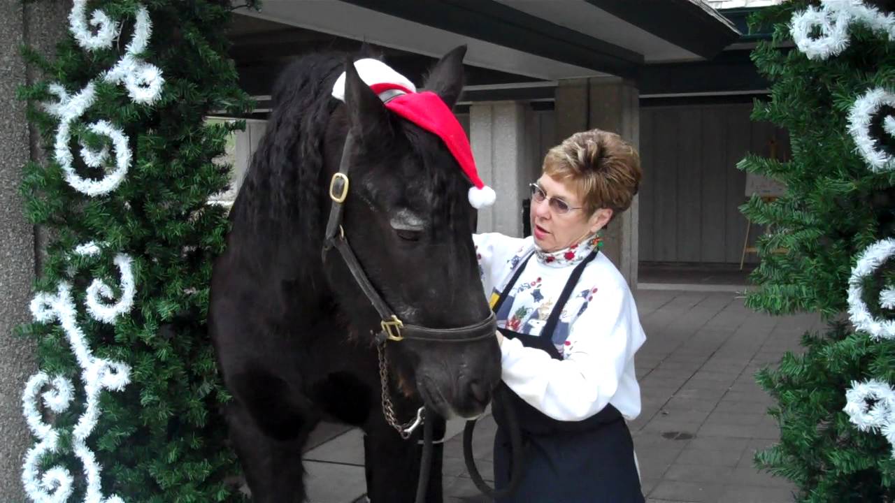 Kentucky Horse Park Thomas the Friesian visits the Bit & Bridle