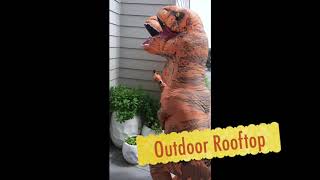 Sky Lounge and Outdoor Rooftop tour Dino Style!