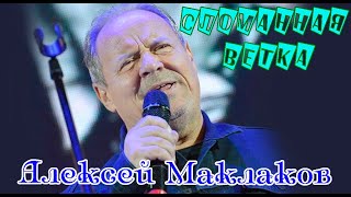 Алексей Маклаков - Сломанная Ветка