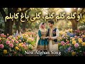 او گلم گلم گلم گلی باغ کابلم آهنگ جدید افغانی 2026 بسیار عاشقانه و زیبا