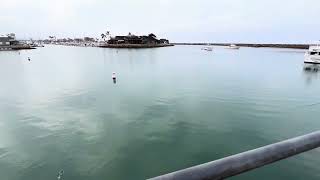 Dana Point Pier Harbor Fishing OC SoCal