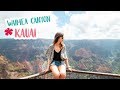 EL GRAN CAÑÓN DE HAWAII. WAIMEA CANYON | VLOG 9