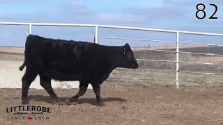 Lot 82