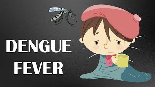 Dengue Fever  Symptoms & Different Phases of Symptoms