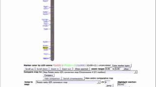 Developing the Breeder's Toolbox at SGN