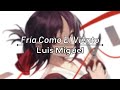 Fria Como El Viento - Luis Miguel (Letra / Lyric Video)