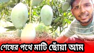 মটর সথ লগ থক আম গল শষ হয যচছ রজশহ আমর বজর কষকর উঠন