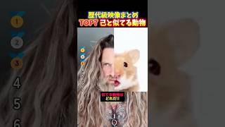 AIに「自分に似てる動物」を聞いたら容赦なかった面白い瞬間TOP7