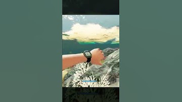 I was so proud 😂 #strandeddeepmultiplayer #shorts