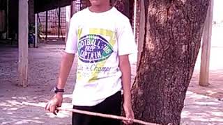 Download Lagu Chincaoo found her son MP3