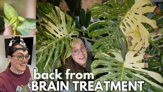 Plants + health update after (GoFundMe) brain treatment | Plant with Roos