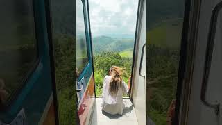 $4 for the most SCENIC train ride in the world