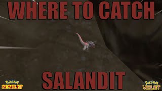 Where to Catch Salandit in Pokemon Scarlet and Violet