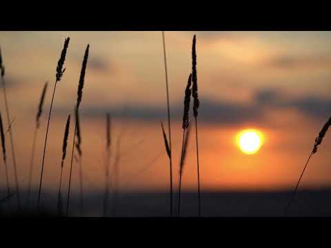 Day 5 | Box Breathing & Child’s Pose