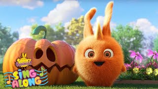 WHERE ARE YOU? SONG | SUNNY BUNNIES SING ALONG COMPILATION | Cartoons for Kids | Nursery Rhymes