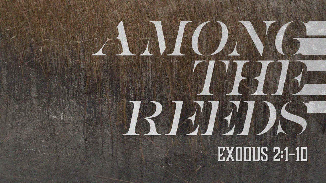 Among The Reeds - Exodus 2:1-10 - YouTube