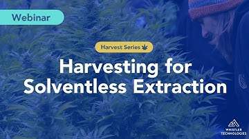How to Harvest for Solventless Extraction (Webinar by Whistler Technologies)