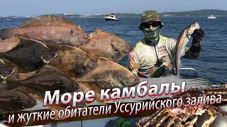 Тащим КАМЧАТСКОГО КРАБА и ведро КАМБАЛЫ. Морская рыбалка. Японское море. Уссурийский залив. 2019/06