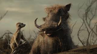 Peter Rabbit And Friends Thomas And Friends S3E24 Heroes