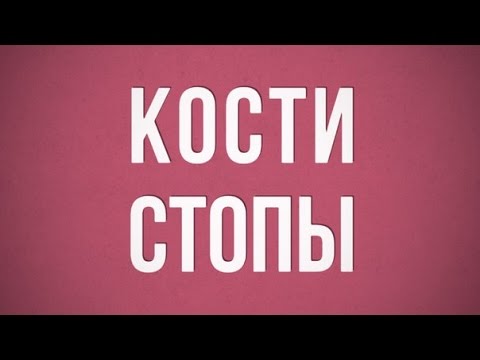 Кости стопы (Ossa Pedis)